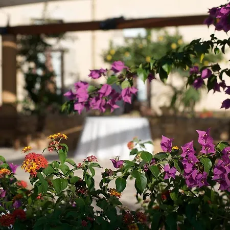 Resort Baglio San Vincenzo